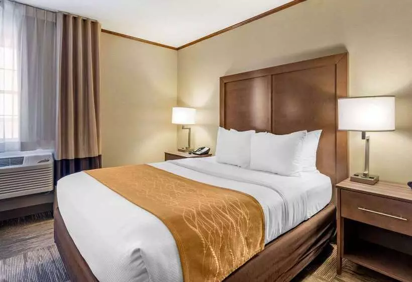 ホテル Comfort Inn Sedalia Station