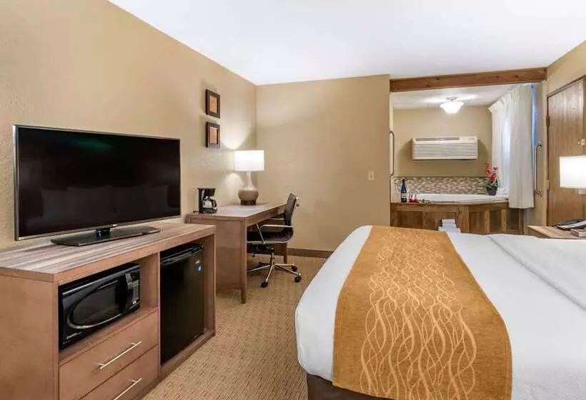 ホテル Comfort Inn Sedalia Station
