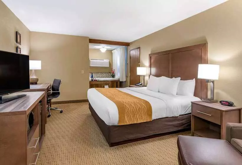 ホテル Comfort Inn Sedalia Station