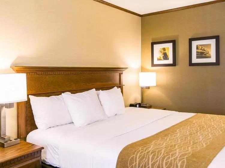 ホテル Comfort Inn Sedalia Station