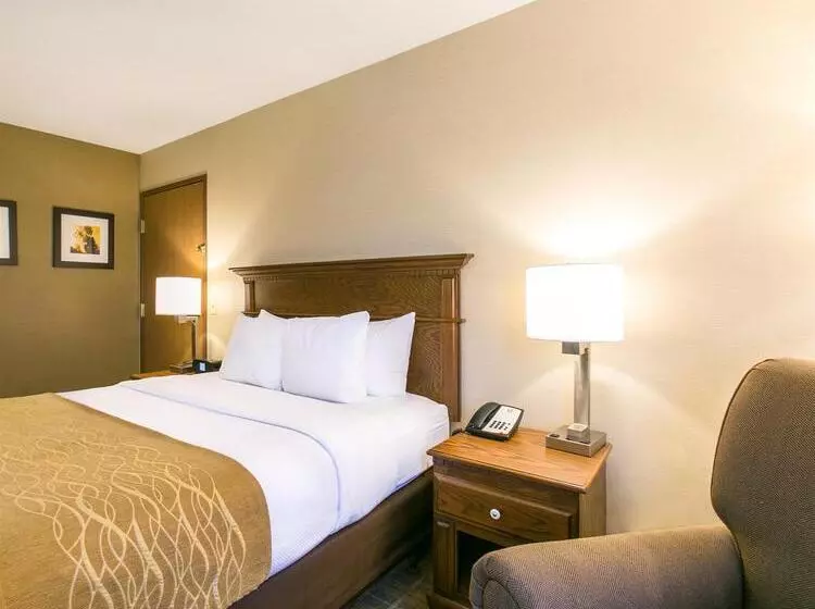 ホテル Comfort Inn Sedalia Station