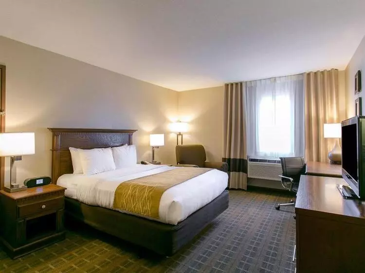 ホテル Comfort Inn Sedalia Station