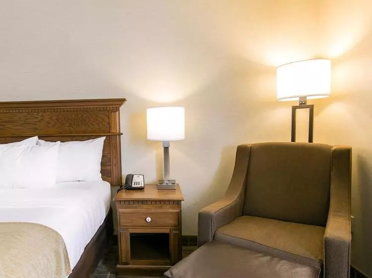 ホテル Comfort Inn Sedalia Station