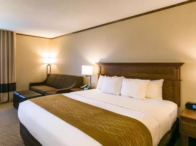 ホテル Comfort Inn Sedalia Station