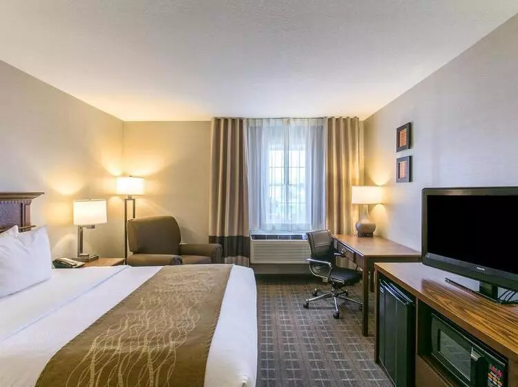 ホテル Comfort Inn Sedalia Station