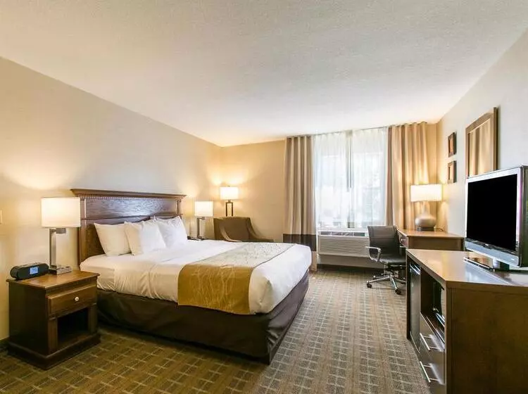 ホテル Comfort Inn Sedalia Station