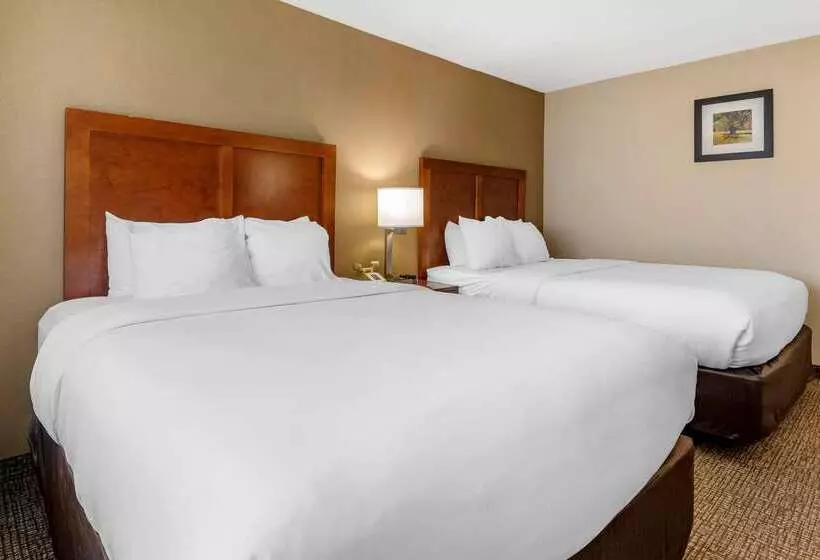 ホテル Comfort Inn & Suites Montpelierberlin