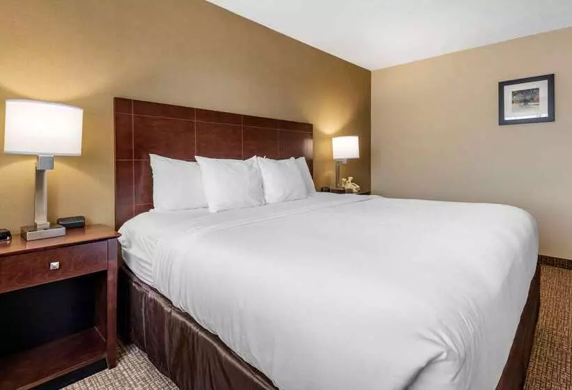 ホテル Comfort Inn & Suites Montpelierberlin