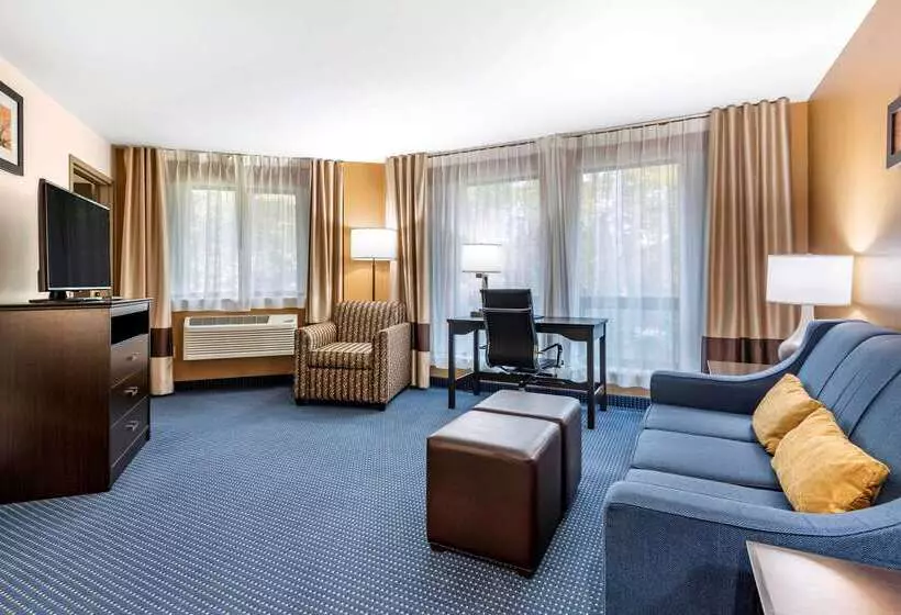 ホテル Comfort Inn & Suites Montpelierberlin