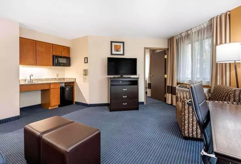 ホテル Comfort Inn & Suites Montpelierberlin