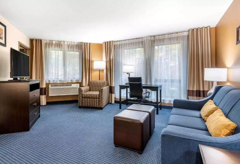 ホテル Comfort Inn & Suites Montpelierberlin