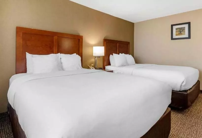 ホテル Comfort Inn & Suites Montpelierberlin