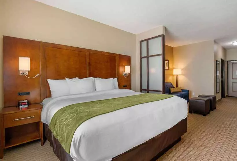 Hotel Comfort Suites San Antonio Airport North