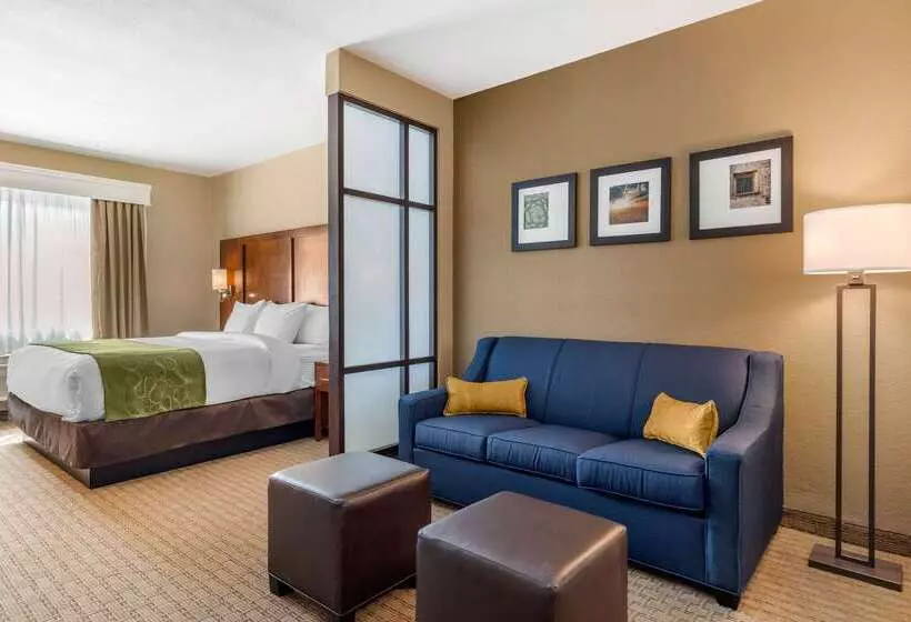 Hotel Comfort Suites San Antonio Airport North