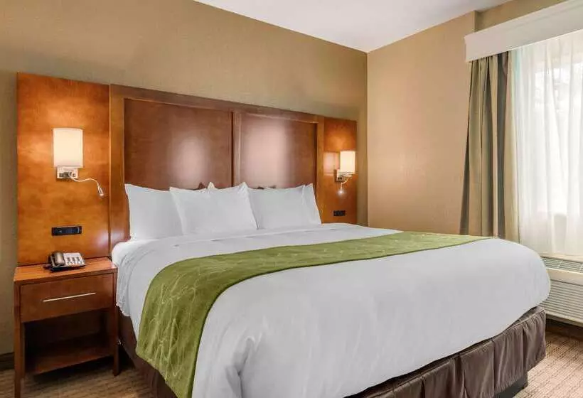 Hotel Comfort Suites San Antonio Airport North