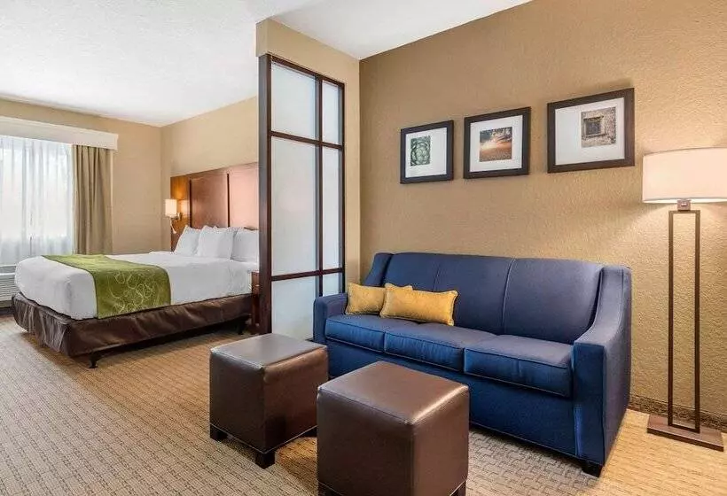 Hotel Comfort Suites San Antonio Airport North