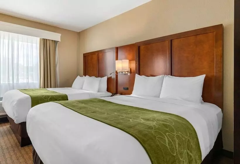 Hotel Comfort Suites San Antonio Airport North