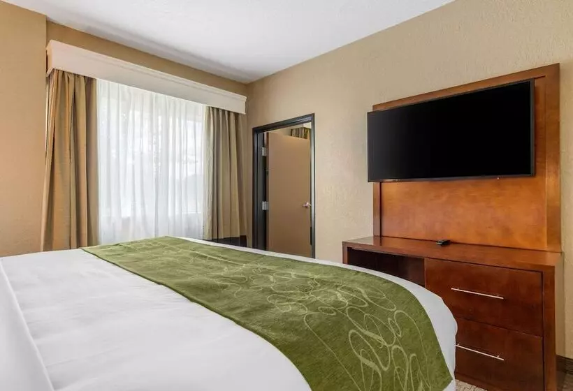 Hotel Comfort Suites San Antonio Airport North