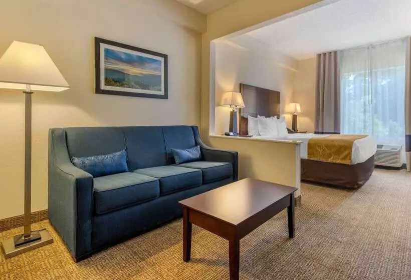 호텔 Comfort Suites Gastonia Charlotte