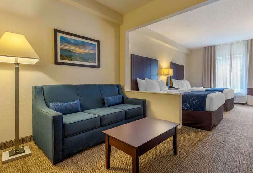 호텔 Comfort Suites Gastonia Charlotte