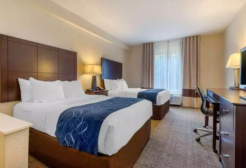 호텔 Comfort Suites Gastonia Charlotte