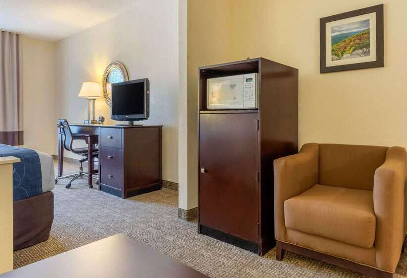 호텔 Comfort Suites Gastonia Charlotte