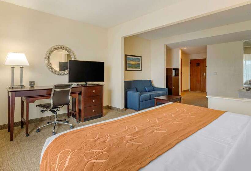 호텔 Comfort Suites Gastonia Charlotte