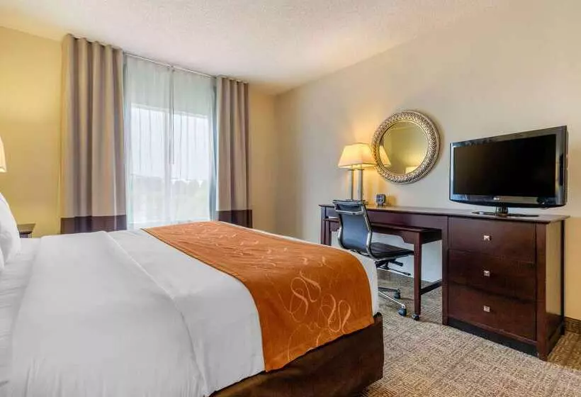 호텔 Comfort Suites Gastonia Charlotte