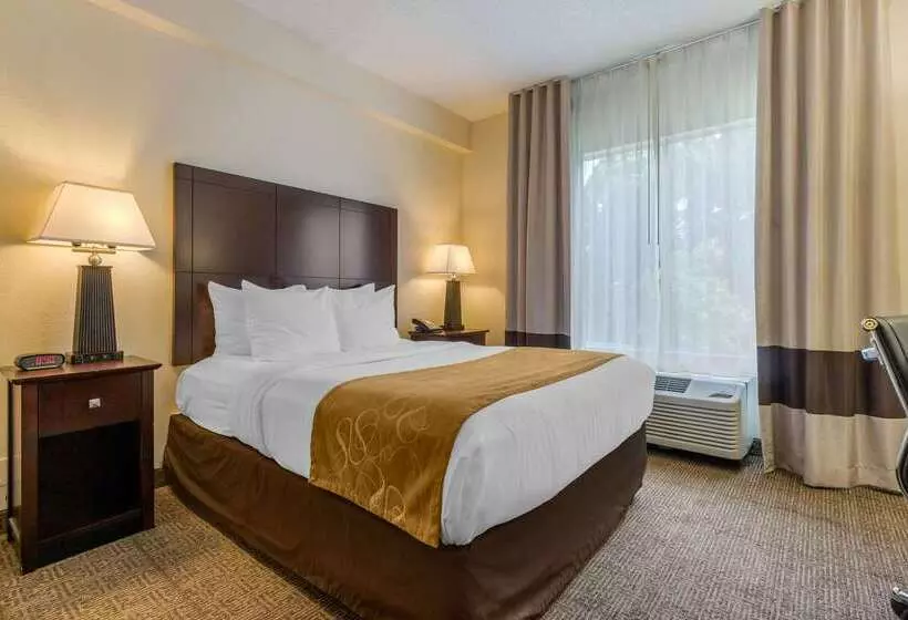 호텔 Comfort Suites Gastonia Charlotte