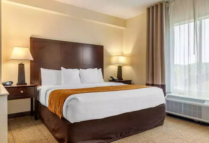 호텔 Comfort Suites Gastonia Charlotte