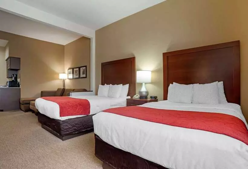 ホテル Comfort Suites Hattiesburg