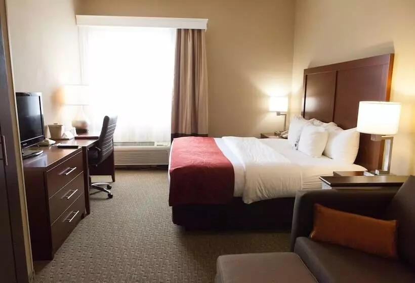 ホテル Comfort Suites Hattiesburg