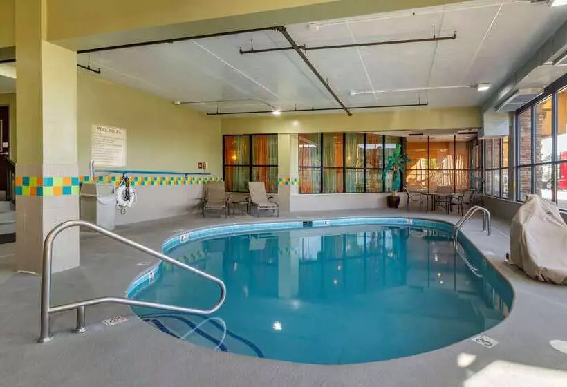 호텔 Comfort Suites Knoxville West  Farragut