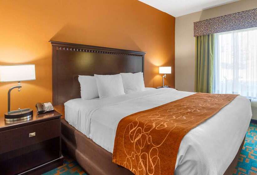 فندق Comfort Suites Knoxville West  Farragut