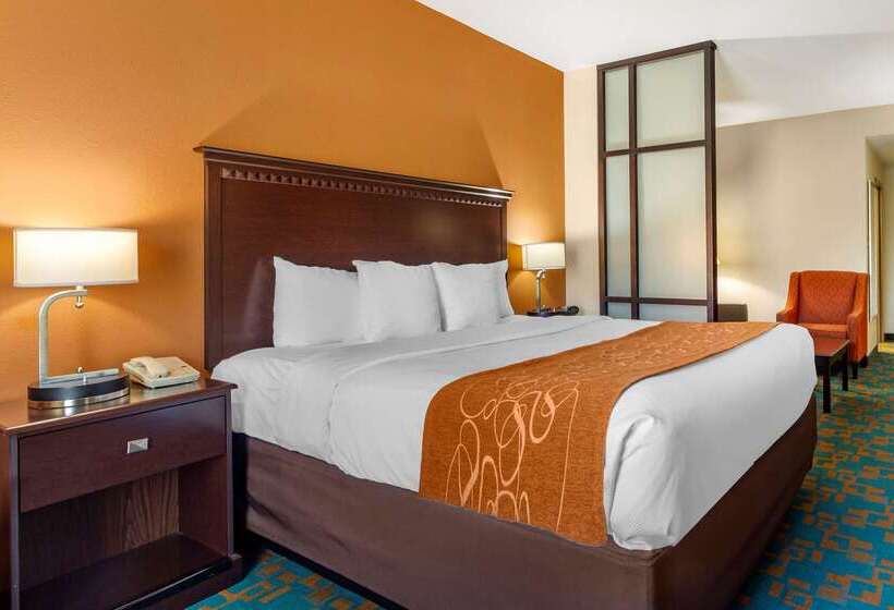 فندق Comfort Suites Knoxville West  Farragut