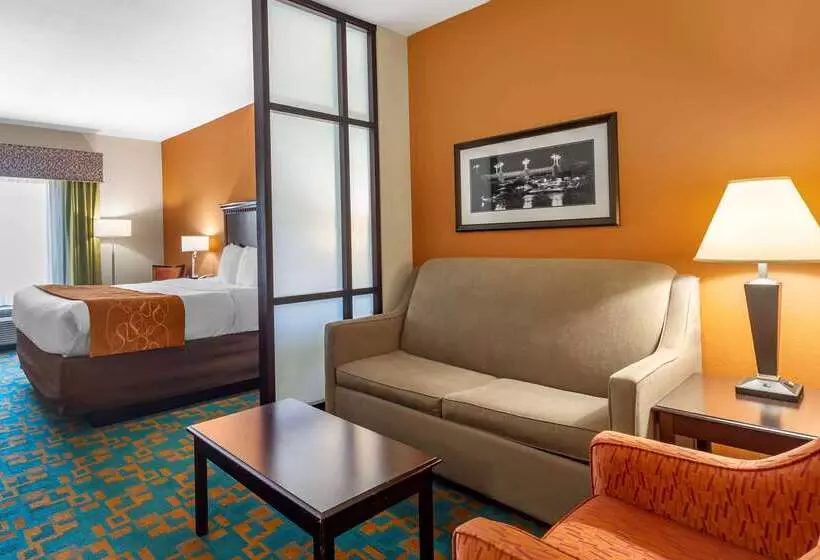 호텔 Comfort Suites Knoxville West  Farragut
