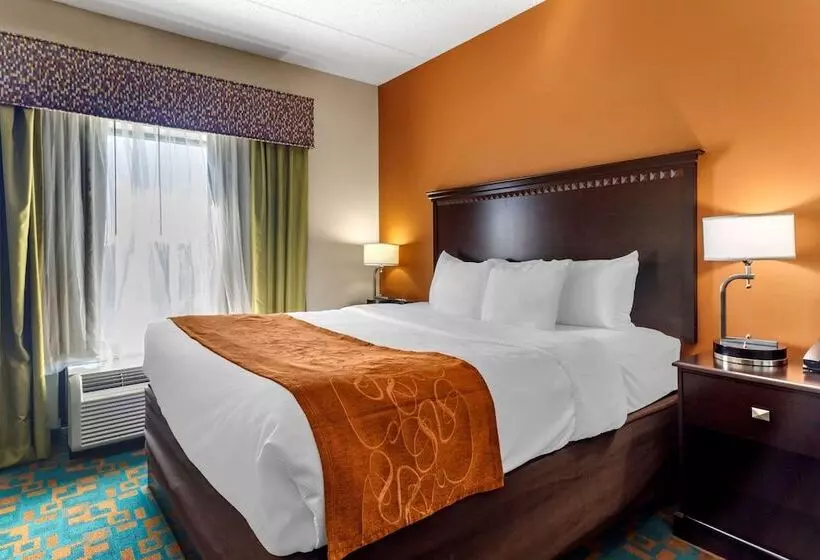 호텔 Comfort Suites Knoxville West  Farragut