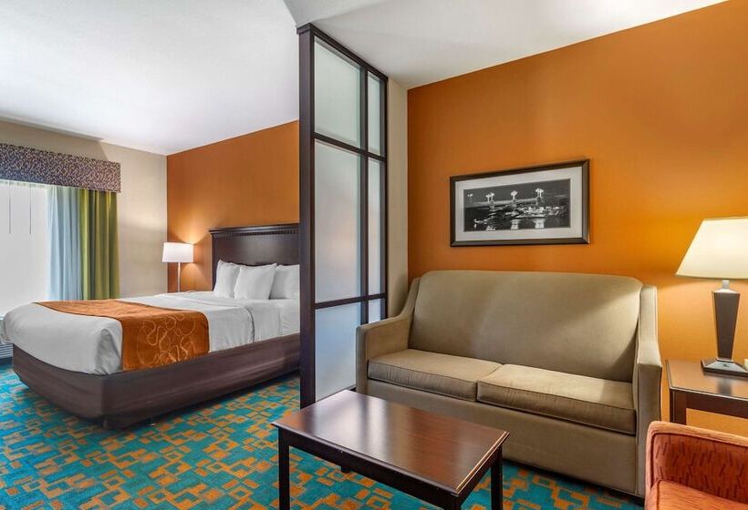 فندق Comfort Suites Knoxville West  Farragut