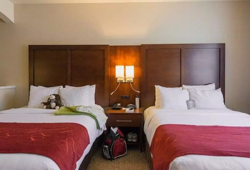 فندق Comfort Suites Springfield Riverbend Medical