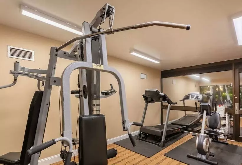 בית מלון כפרי Coratel Plus Suites Wichita West Airport