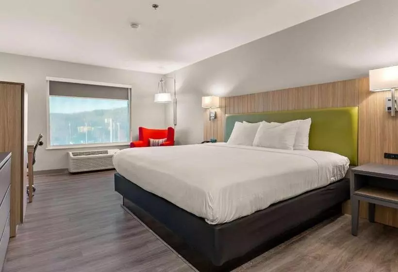 酒店 Country Inn & Suites By Radisson, Asheville At Asheville Outlet Mall, Nc