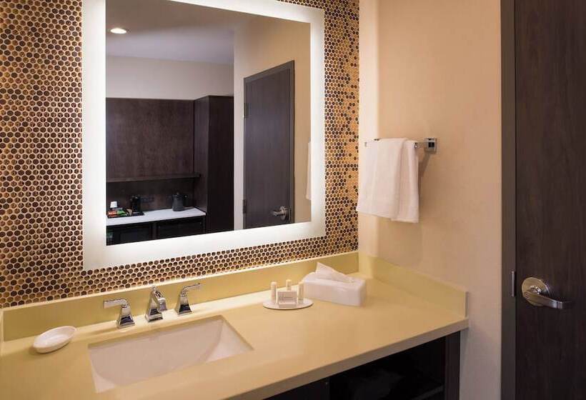 Otel Fairfield Inn & Suites By Marriott New Orleans Downtown/french Quarter Area