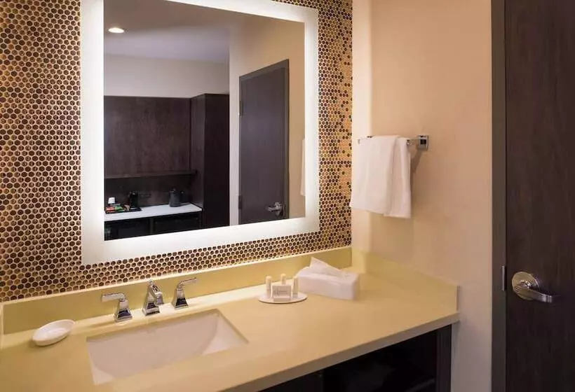 هتل Fairfield Inn & Suites By Marriott New Orleans Downtown/french Quarter Area