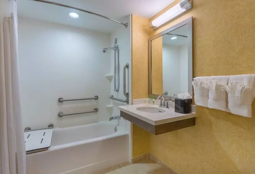 Отель Holiday Inn Baltimore Bwi Airport, An Ihg