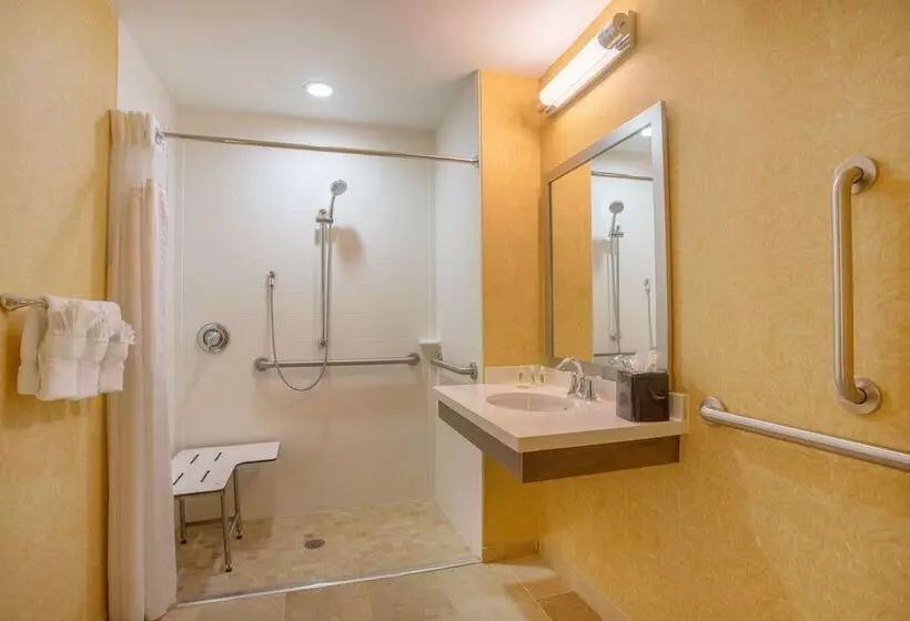 Отель Holiday Inn Baltimore Bwi Airport, An Ihg