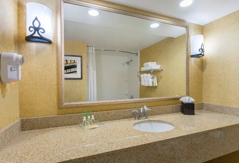 Otel Holiday Inn Baltimore Bwi Airport, An Ihg