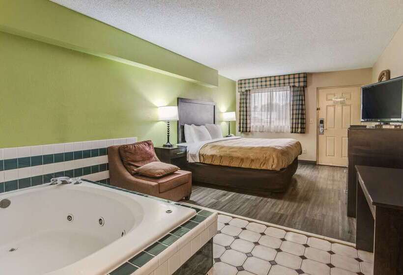 ホテル Quality Inn & Suites Dublin