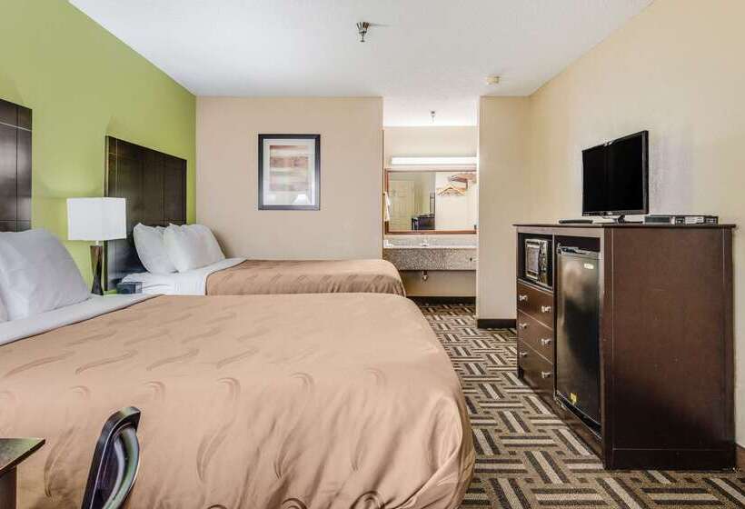 ホテル Quality Inn & Suites Dublin