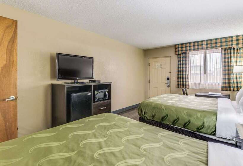 ホテル Quality Inn & Suites Dublin