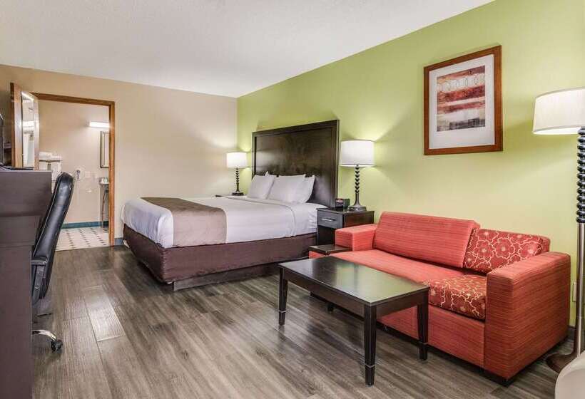 ホテル Quality Inn & Suites Dublin